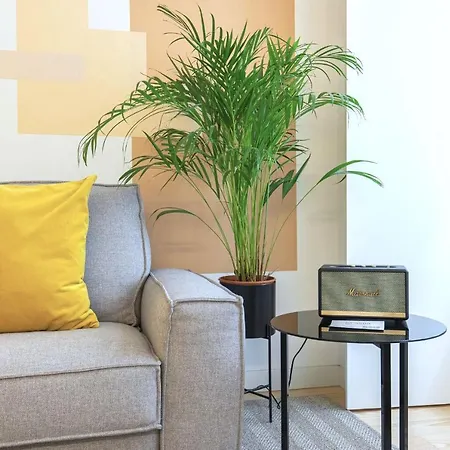 Ando Living - Douradores House Apartament